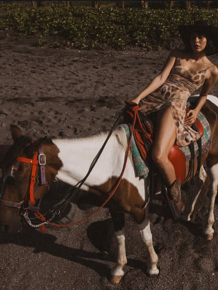 A pinto horse and rider on the beach